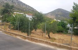 Nea Makri, Attica 19005