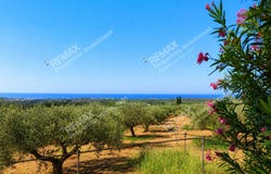 Tragana, Peloponnese 24001