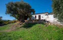 Tavronítis, Crete 73006
