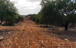 Skopi, Crete