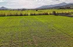 Ampelas, South Aegean 84401
