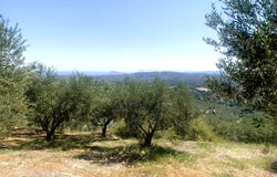 Maleme, Crete 73014