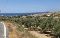 Kalamaki, Crete 70200