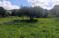 Elounda, Crete 72053