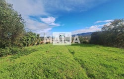 Kopsocheilades, Corfu, Peloponnese, Western Greece and the Ionian 49081