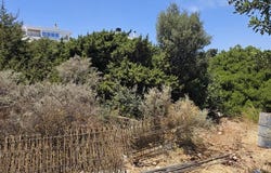 Crete 72100