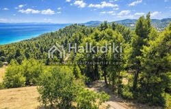 Paliouri, Central Macedonia 63085