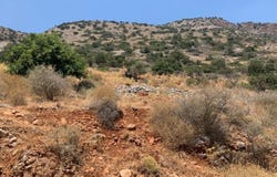 Agios Nikolaos, Crete 72100