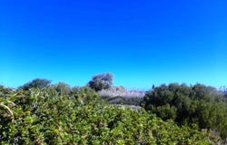Tripitos, Crete 72300