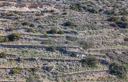 Kamari, South Aegean 84400