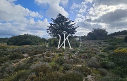 Koskinou, South Aegean 85100