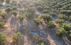 Avlona, Aegean 24011