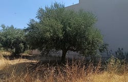 Kritsa, Crete 72051