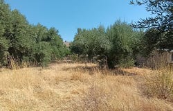 Kritsa, Crete 72051