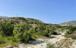 Ferma, Crete