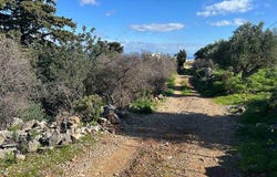 Paleloni, Crete 73008