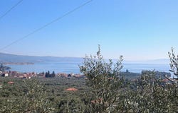 Milies, Thessaly 37010