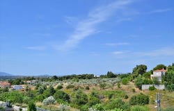 Krioneri, Athens - North 14568