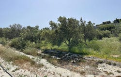 Ferma, Crete