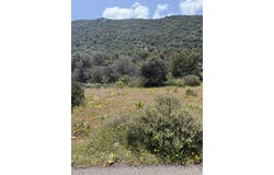 Rousa Limni, Crete 72100
