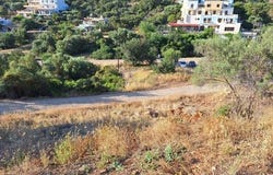Agios Nikolaos, Lasithi 72100
