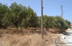 Gouves, Heraklion Prefecture 70008