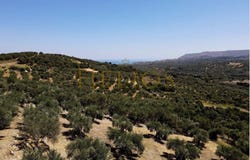 Vrises, Crete 73007