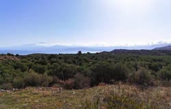 Drapanos, Drapanos, Crete Island 730 08