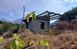 Mochlos, Crete 72057