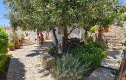 Chora, North Aegean 83103