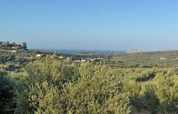 Platania, Thessalía