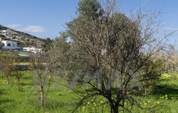 Koukoumavles, South Aegean 84400