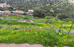 Kato Pines, Crete 72100