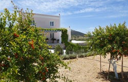Pagos, South Aegean 84100