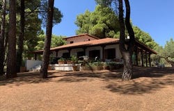 Sithonia, Chalkidiki 63078