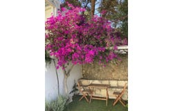 Agia Fotia, Crete