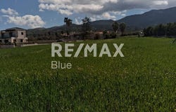 Mesaria, South Aegean 84700