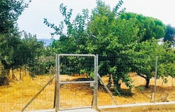 Nea Makri, Attica 19005