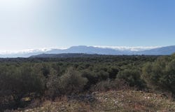 Drapanos, Drapanos, Crete Island 730 08