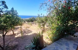 Agia Fotia, Crete 72300