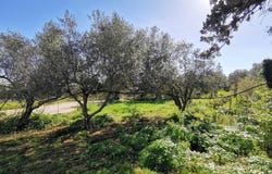 Maleme, Crete 73014