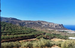 Goudouras, Crete 72059