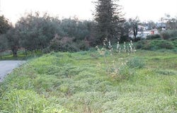 Corfu, Corfu Prefecture 49100