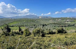 Tsivaras, Crete 73003
