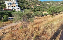 Agios Nikolaos, Lasithi 72100