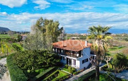 Zachloritika, Western Greece 25003