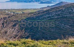 Paros, South Aegean 84400