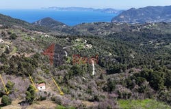 Skopelos, Thessaly 37003