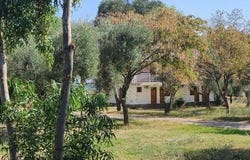 Sithonia, Chalkidiki 63078