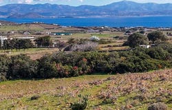 Isterni, South Aegean 84400